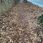 Sidewalk Obstruction at 182 Babcock St