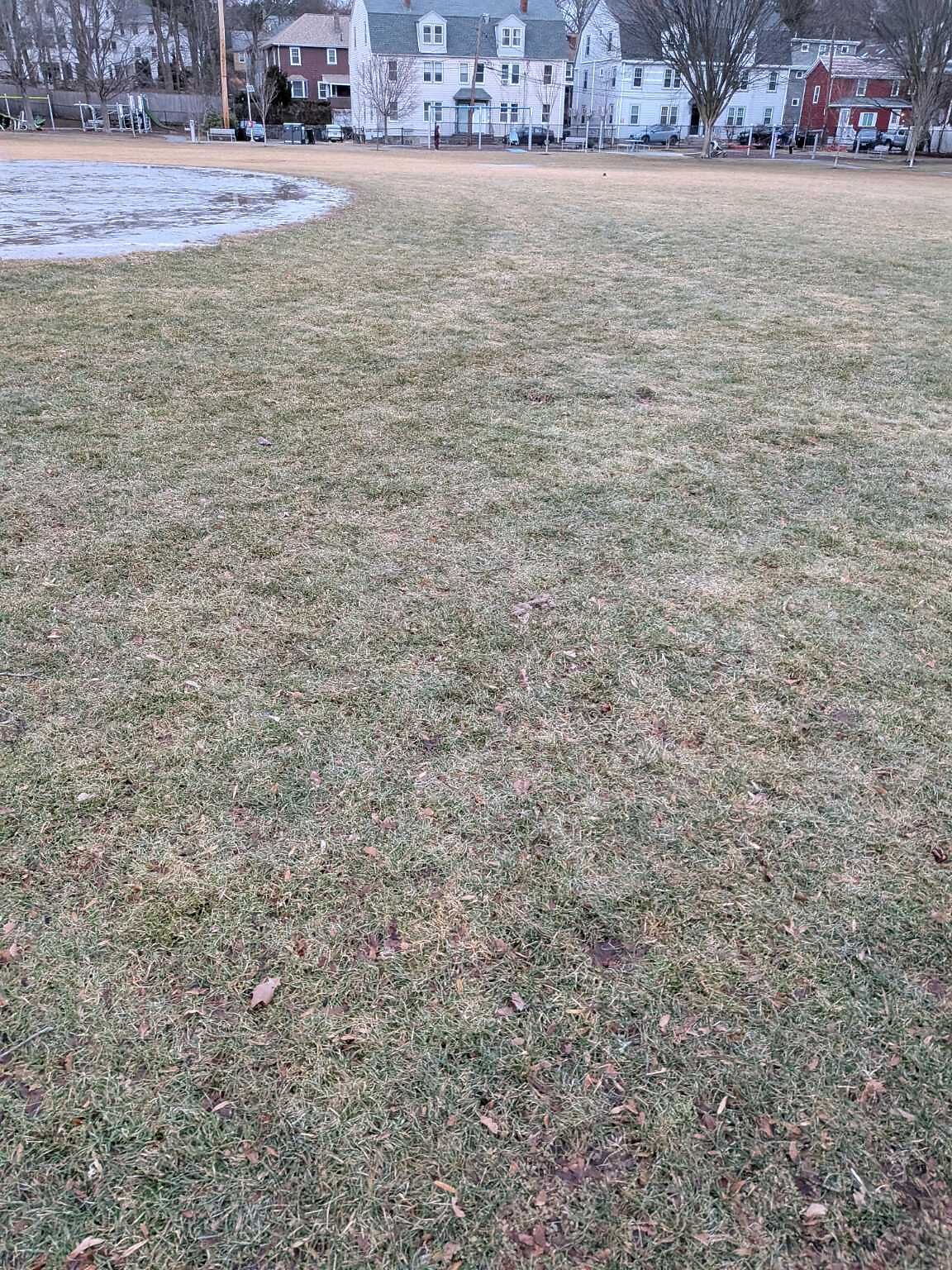 Photo_20260109_162419