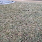 Park Playground at 290 342 Cypress St