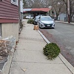 Trash/Recycling at 81 Franklin St