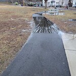 Park Playground at 290 342 Cypress St