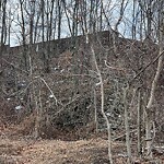 Trash/Recycling at 815 Newton St, Chestnut Hill